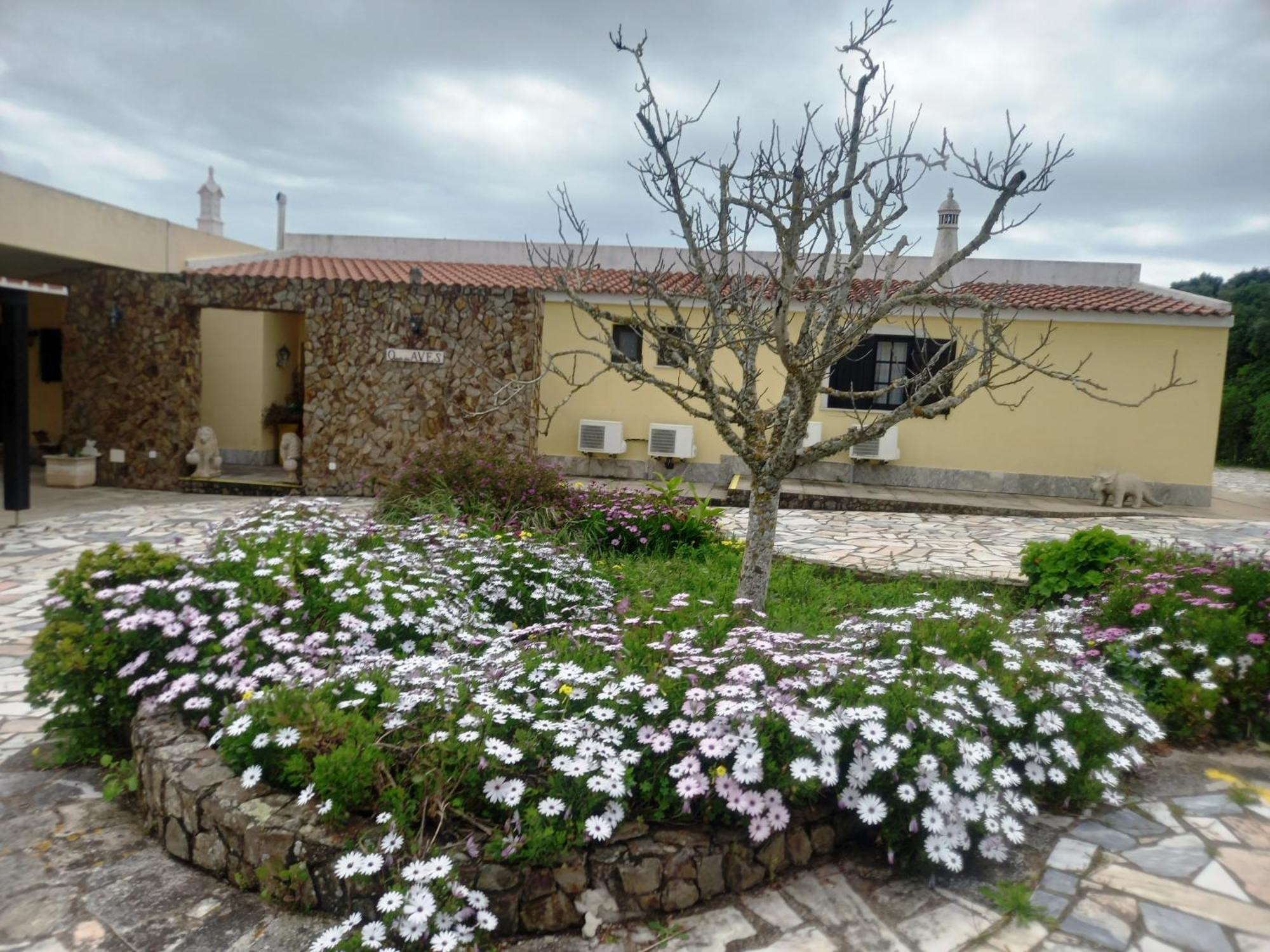 Quinta Das Aves Vendégház Lagos Kültér fotó